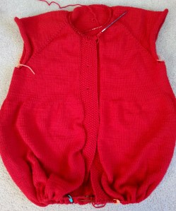 My A-Line Hoodie.  I really must finish it!